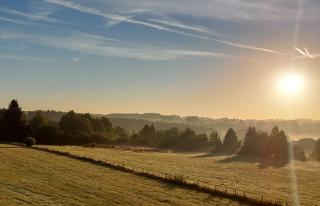 Le hurlement du loup - 1