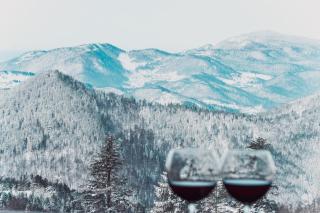 Konak 1400 Tara - Mokra Gora - 1