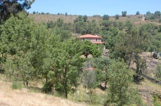 Casa da Janal - Vimioso - 9