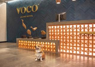 voco Guadalajara Neruda by IHG - Guadalajara - 4