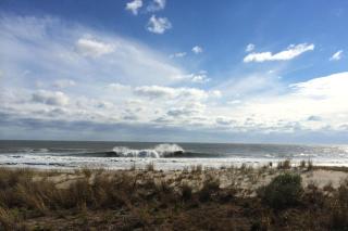 Bimini 106 condo - 8