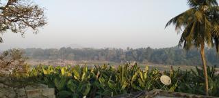 Funky monkey Home stay - Hampi - 4