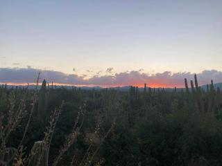 Cardón Alley Studio #2 - 2nd Floor - 8