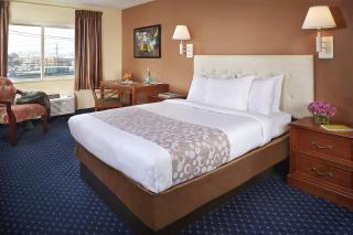 Hotel Focus SFO - South San Francisco - 3