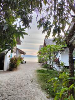 Sand Terrace Beach Bungalows - Ban Tai - 5