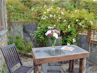 Wild Rose - Delabole - 5