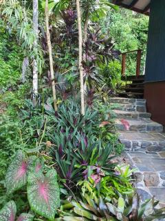 Treeverb Beach House - Daintree - Cow Bay - 6