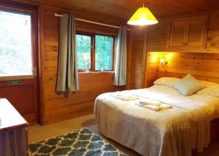 Garnffrwd Cottages - 5