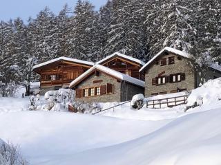 Tiny House facing the Alps - Ski in, Ski out - 0