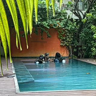 Viluveli Holiday Retreat - Hanimaadhoo - 6