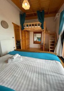 The lodge - Mesongi - 2