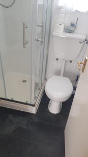 Ecky-Thump pet friendly holiday chalet - Bridlington - 1