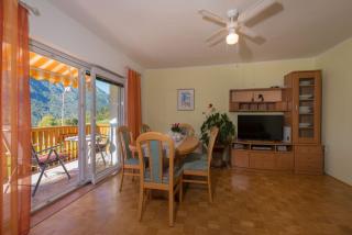 Ela Apartments - 1 - Kranjska Gora - 9