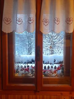 Residenze Ca del bosco Piancavallo - 4