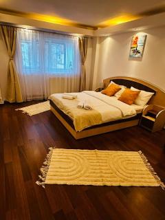 Apartament Azuga - Azuga - 9