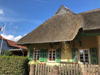 Im Reetdachhaus - Wustrow - 7