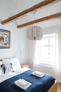 Beautiful Penthouse - City Center - Graz - 3