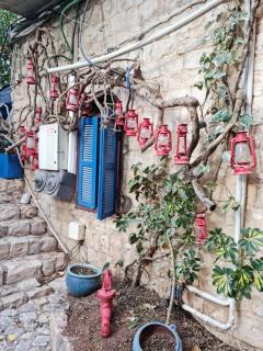 וילה תהילה המחודש - The new Villa Tehila - 3