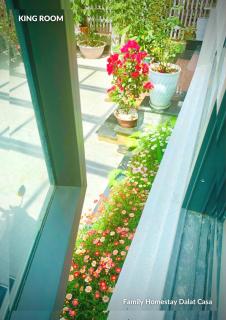Family Homestay Dalat Casa - Da Lat - 7