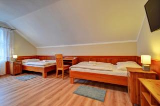 Penzion pod Radyni - Starý Plzenec - 1