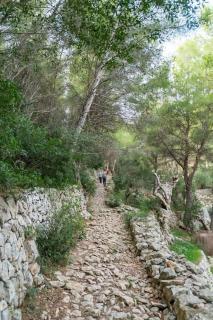 Villa Massana, excelentes vacaciones con piscina - Sóller - 6