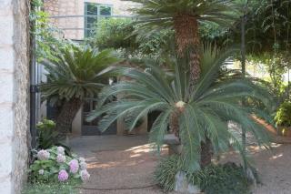 Villa Massana, excelentes vacaciones con piscina - Sóller - 3