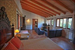 Villa Massana, excelentes vacaciones con piscina - Sóller - 2