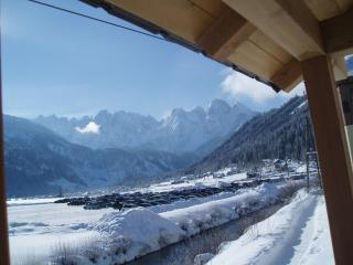 Apartment Urstöger - Gosau - 6