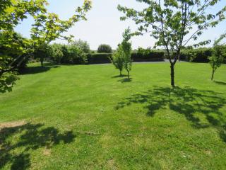 Umber, Gallery Cottages, Devon - West Putford - 7