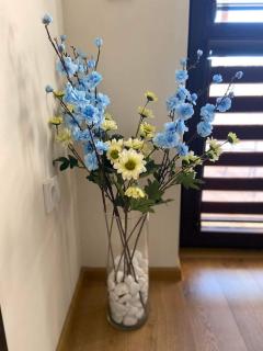 Gardenia Apartment - Veliko Tarnovo - 1