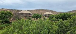 Garden Route Safari Camp - 4
