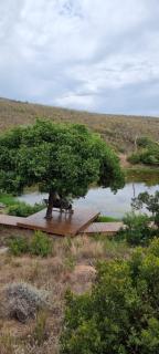 Garden Route Safari Camp - Mossel Bay - 3