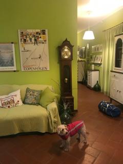 Casa Giulia - Vigliano d'Asti - 9