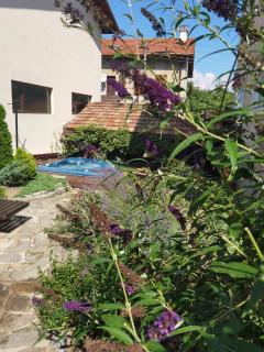 Mira Guest House - Dobrinishte - 2