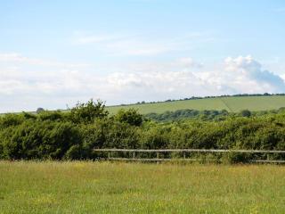 Clip Clops - Findon - 1