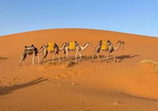 Perfect Luxury Camp - Merzouga - 3