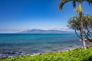 Kuleana 405 Oceanfront 1Bedroom condo - 3