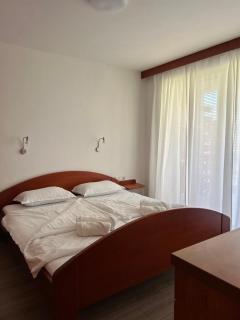 Apartment Aurora - Moravske Toplice - 1