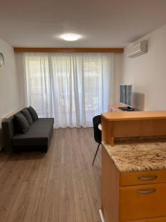 Apartment Aurora - Moravske Toplice - 4