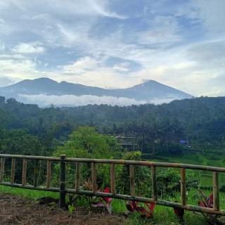 Girang Rinjani Bungalows - Tetebatu - 9
