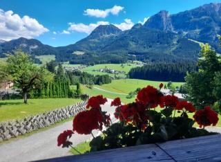 Sonnleit'n Zimmer 7 - Abtenau - 9