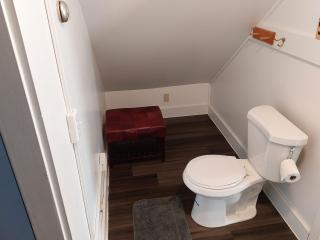 Terrapin Hostel - Kingfield - 3