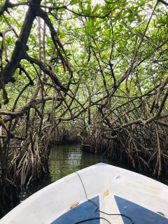 Conch Villa- 3 Min walk to the beaches - 1