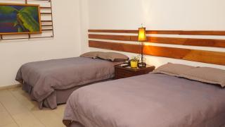 Hotel Casa del Arbol - San Pedro Sula - 6