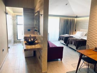 Deluxe Rooms in Blloku Area - 8