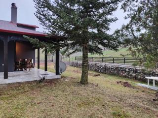 Orino Livadi Mount Villa IV - Arachova - 5