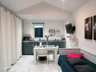 Petit nid douillet - Reventin-Vaugris - 7