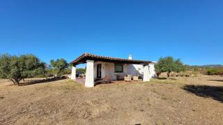 Villa Casa MaTe - Orosei - 5