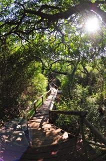 Panzi Lodge - 5