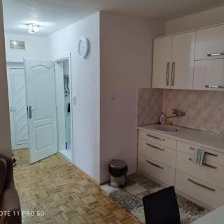 Apartman Kosta - Vrnjačka Banja - 2